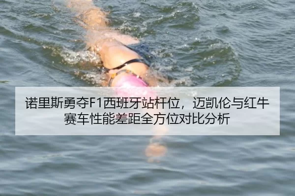 诺里斯勇夺F1西班牙站杆位，迈凯伦与红牛赛车性能差距全方位对比分析